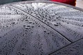 Drops of water on the car roof, nature background Royalty Free Stock Photo