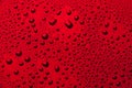 Drops of water on a color background. Red Royalty Free Stock Photo