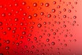 Drops of water on a color background. Red tone Royalty Free Stock Photo