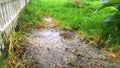 Drops of water drip on a puddle. Vodi flooded the green lawn in the garden