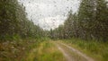 Drops of water on the glass surface. View from the cab of the car during the rain. Forest Road. Beautiful abstract Royalty Free Stock Photo