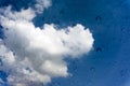 Drops of water on glass window over blue sky Royalty Free Stock Photo