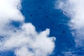 Drops of water on glass window over blue sky. Royalty Free Stock Photo