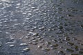 Drops of water lies on the asphalt road Royalty Free Stock Photo