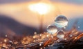 Drops of water macro on the grass, dew on the background of a mountain landscape. Concept of pure natural drinking water