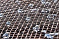 Drops of water on metallic net Royalty Free Stock Photo