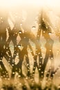 Drops of the water on a misted glass of a car. Water drops background Royalty Free Stock Photo