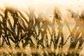 Drops of the water on a misted glass of a car. Water drops background Royalty Free Stock Photo