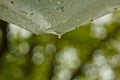 Drops of water after a rain flow down from a polyethylene film against a bokeh outdoors. homemade rain protection outside. Royalty Free Stock Photo