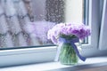 Drops of water from the rain on the glass. Window. Against the background of blue sky. Freshness of summer Royalty Free Stock Photo