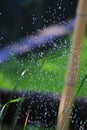 Drops of water, waters splash with grass, bamboo background