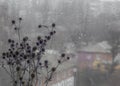 Drops of water on a window pane Royalty Free Stock Photo