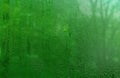 drops on wet glass of the window. abstract wet glass background. green textured backdrop. Royalty Free Stock Photo