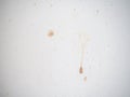 Drops on a white surface. Splashes of wine on the white wall. Dirty surface Royalty Free Stock Photo