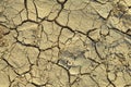 Drought Royalty Free Stock Photo