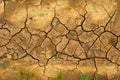 Drought Royalty Free Stock Photo