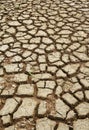 Drought Royalty Free Stock Photo