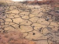 Drought Royalty Free Stock Photo