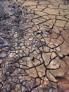 Drought Royalty Free Stock Photo