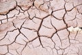 Drought Royalty Free Stock Photo