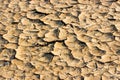Drought breaks ground Royalty Free Stock Photo