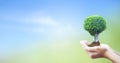 World Environment Day concept: Human hands holding big tree over blue sky background Royalty Free Stock Photo