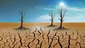 Drought concept, dead trees in cracked dry land, climate change