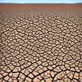 Drought concept Land cracks water shortages