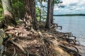 Shoreline erosion at the lake closeup Royalty Free Stock Photo