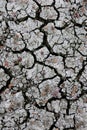 Drought and cracked dirt