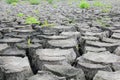 Drought cracked earth