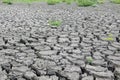 Drought cracked earth