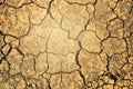 Drought cracked land