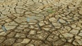 Drought cracked pond wetland, swamp very drying up the soil crust earth climate change, environmental disaster and earth cracks