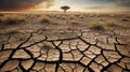 Drought-Cracked Soil and Parched Land During Dry Season Royalty Free Stock Photo
