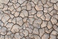 Drought cracking earth texture