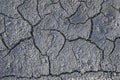 Drought. Cracks in the dry ground. Natural grey background Royalty Free Stock Photo