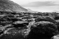 Drought, dead desert landscape