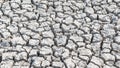 Drought and desertification of dry waterless land, cracked mud, arid ground soil for environmental catastrophe awareness Royalty Free Stock Photo