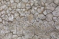 Drought, dried cracked earth. Cracks in clay. Water shortage problem