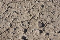 Drought - Dry Cracked Earth