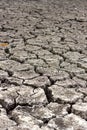 Dry cracked soil, dry lake shore