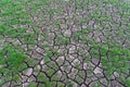 Drought, dry earth. Royalty Free Stock Photo