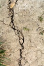 Dry earth, dried out cracked soil from hot temperature change Royalty Free Stock Photo