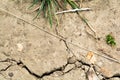 Dry earth, dried out cracked soil from hot temperature change Royalty Free Stock Photo