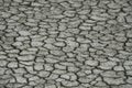 Drought dry land cracking land. Royalty Free Stock Photo