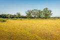 Drought in a Dutch nature reserve