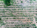 Drought Farm from Top view aerial photography Royalty Free Stock Photo