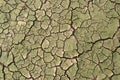 Drought, the ground cracks Royalty Free Stock Photo