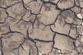 Drought, the ground cracks, no hot water, lack of moisture. Dried and Cracked ground,Cracked surface. Royalty Free Stock Photo